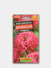 Астра "Королева Сада Малиновая", семена