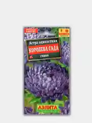 Астра Королева Сада Синяя (семена)
