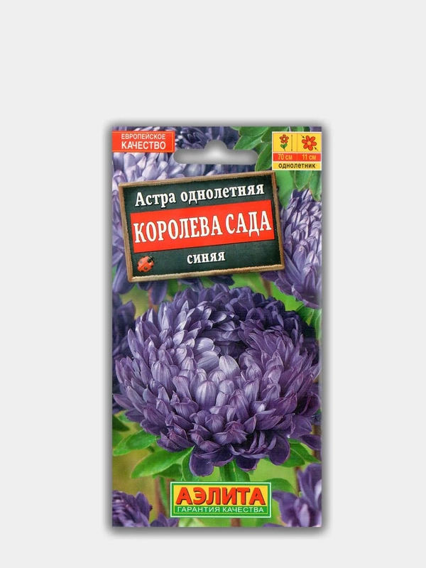 Астра Королева Сада Синяя (семена)
