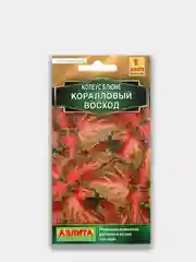 Колеус блюме "Коралловый восход", семена