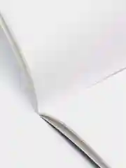 Голубой альбом для рисования А4 "Холодное сердце" с Эльзой, 5 видов