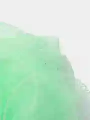 Лайм мочалка шар