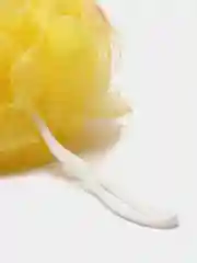 Желтый мочалка шар