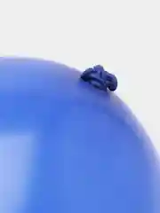 Синий воздушные шарики разноцветные/латексные/12 дюймов/5 шт