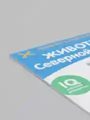 Развивающие карточки по методике Г. Домана
