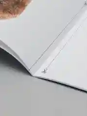 Развивающие карточки по методике Г. Домана