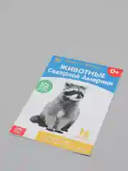 Развивающие карточки по методике Г. Домана