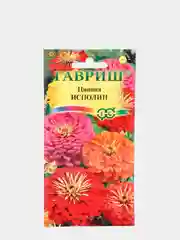 Семена Цинния "Исполин" набор 1, 3, 5 уп