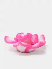 Фуксия кабошон цветы