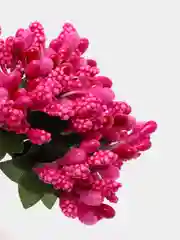 Вишнёвый тычинки с сахарными вставками