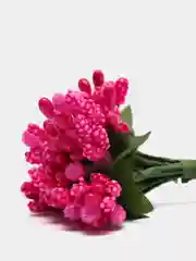 Вишнёвый тычинки с сахарными вставками