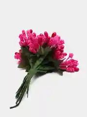 Вишнёвый тычинки с сахарными вставками