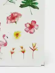 Коралловый водные наклейки-слайдеры для дизайна ногтей, более 200 видов шаблонов