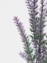 Искусственные цветы Лаванда бархатная букет с напылением, 36 см, растения, осока, зелень