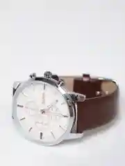 Коричневый часы наручные Skmei 9103, мужские
