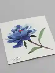 Конфетный мини тату / Временная, переводная татуировка/ 6*6 см