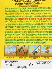 Кукумис декоративный "Усатый-полосатый", семена, 5 штук