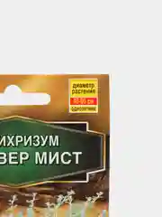 Гелихризум "Сильвер мист", семена