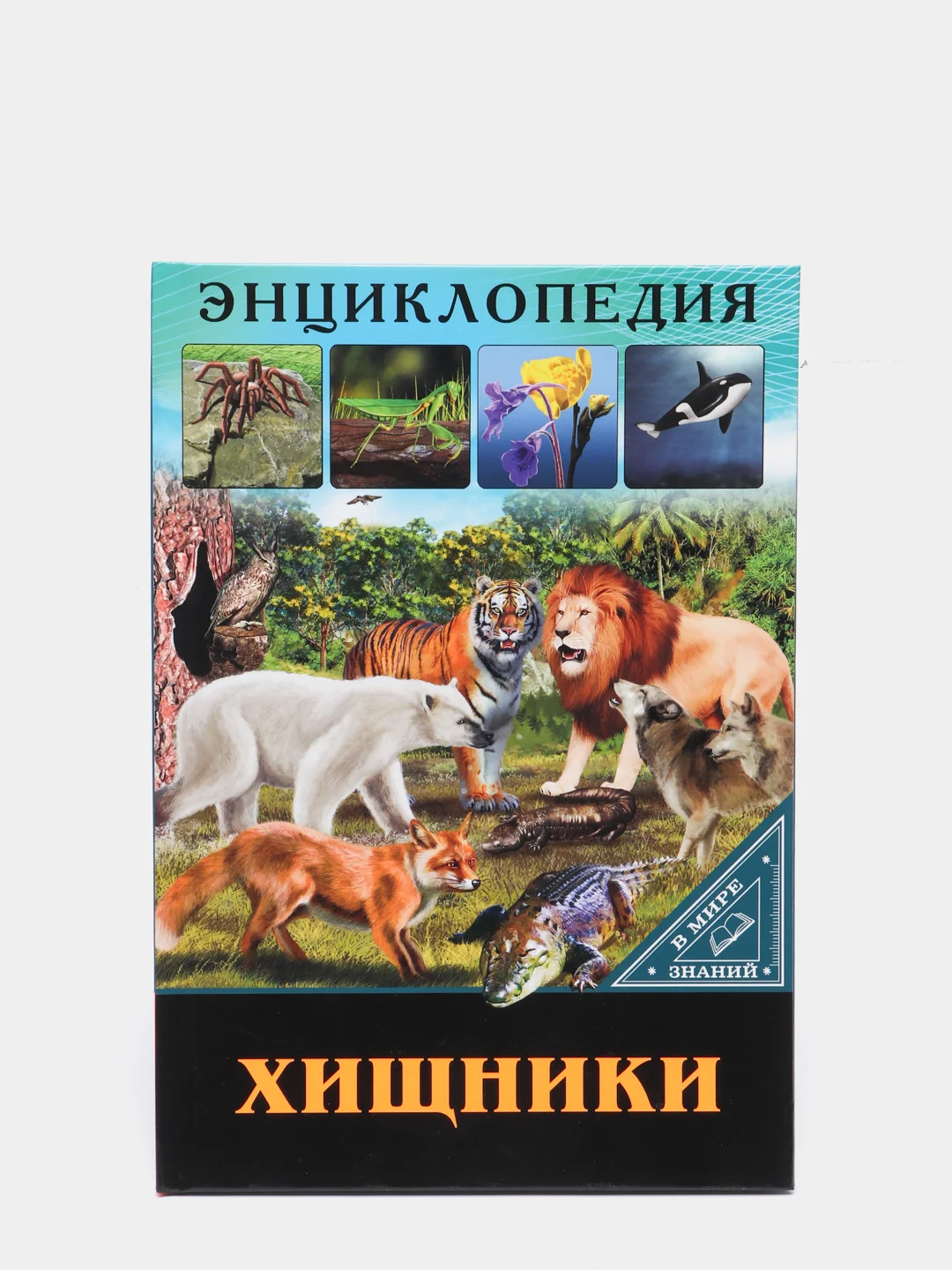 Бежевый энциклопедия для детей "В мире знаний", серия книг, твёрдый переплёт, яркие иллюстрации