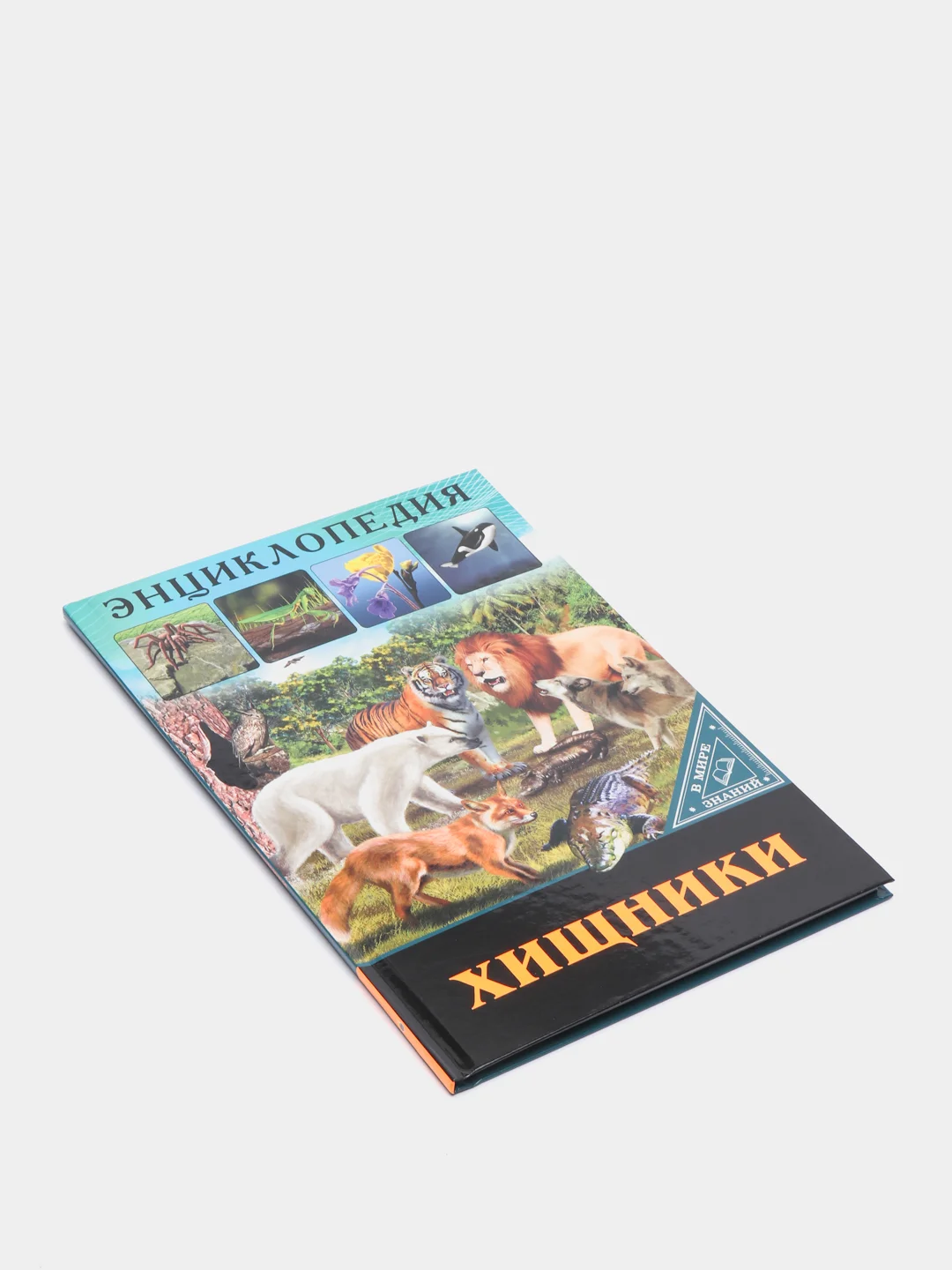 Бежевый энциклопедия для детей "В мире знаний", серия книг, твёрдый переплёт, яркие иллюстрации