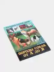 Аметистовый энциклопедия для детей "В мире знаний", серия книг, твёрдый переплёт, яркие иллюстрации