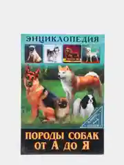 Аметистовый энциклопедия для детей "В мире знаний", серия книг, твёрдый переплёт, яркие иллюстрации