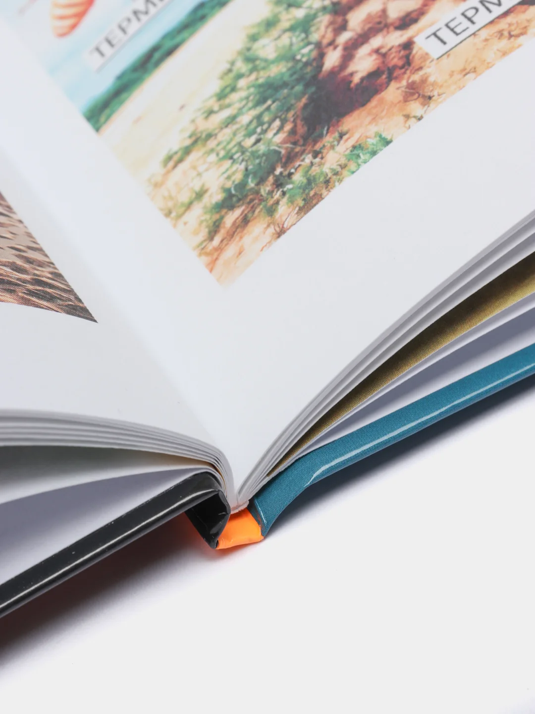 Белый энциклопедия для детей "В мире знаний", серия книг, твёрдый переплёт, яркие иллюстрации