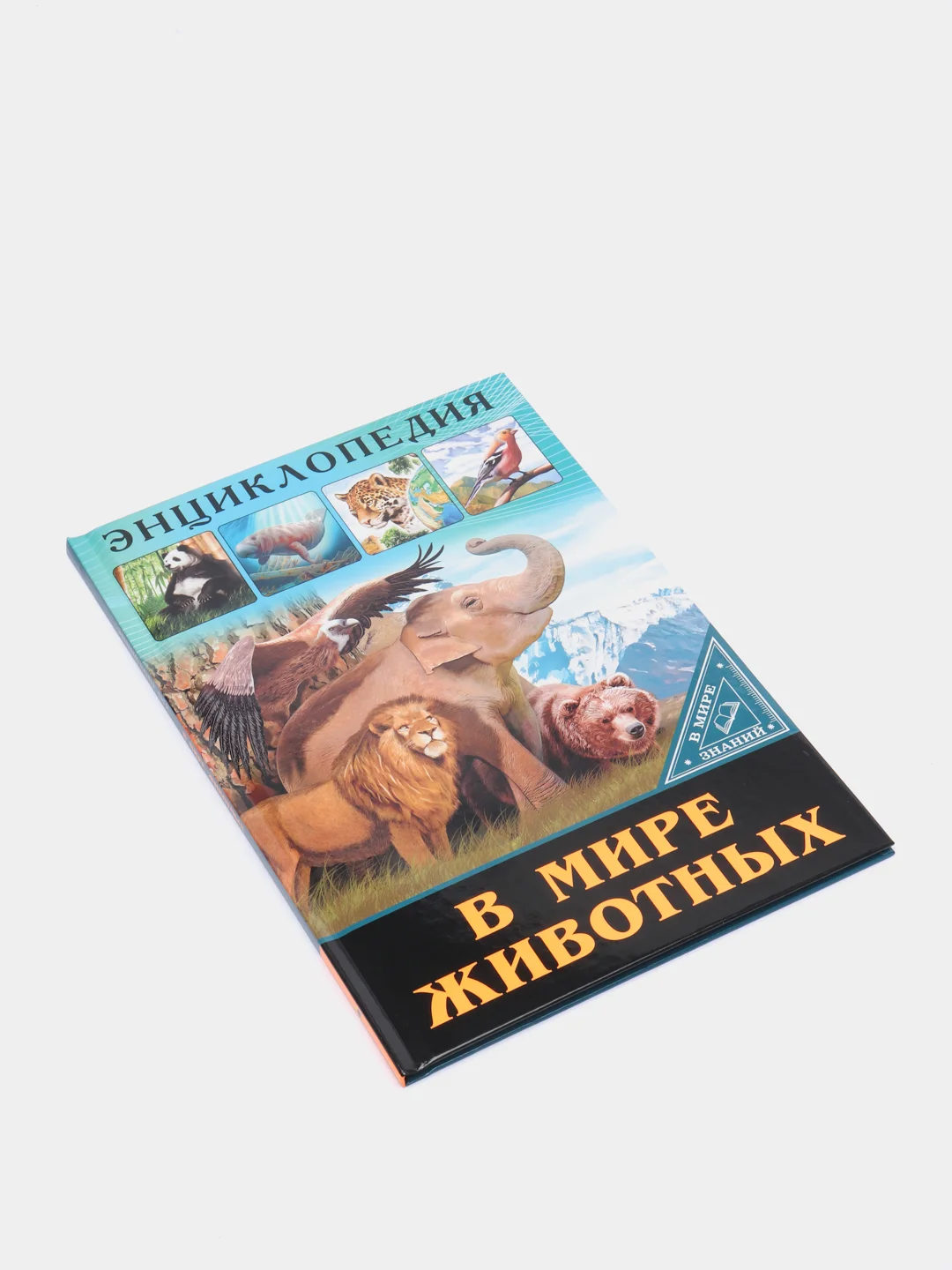 Белый энциклопедия для детей "В мире знаний", серия книг, твёрдый переплёт, яркие иллюстрации