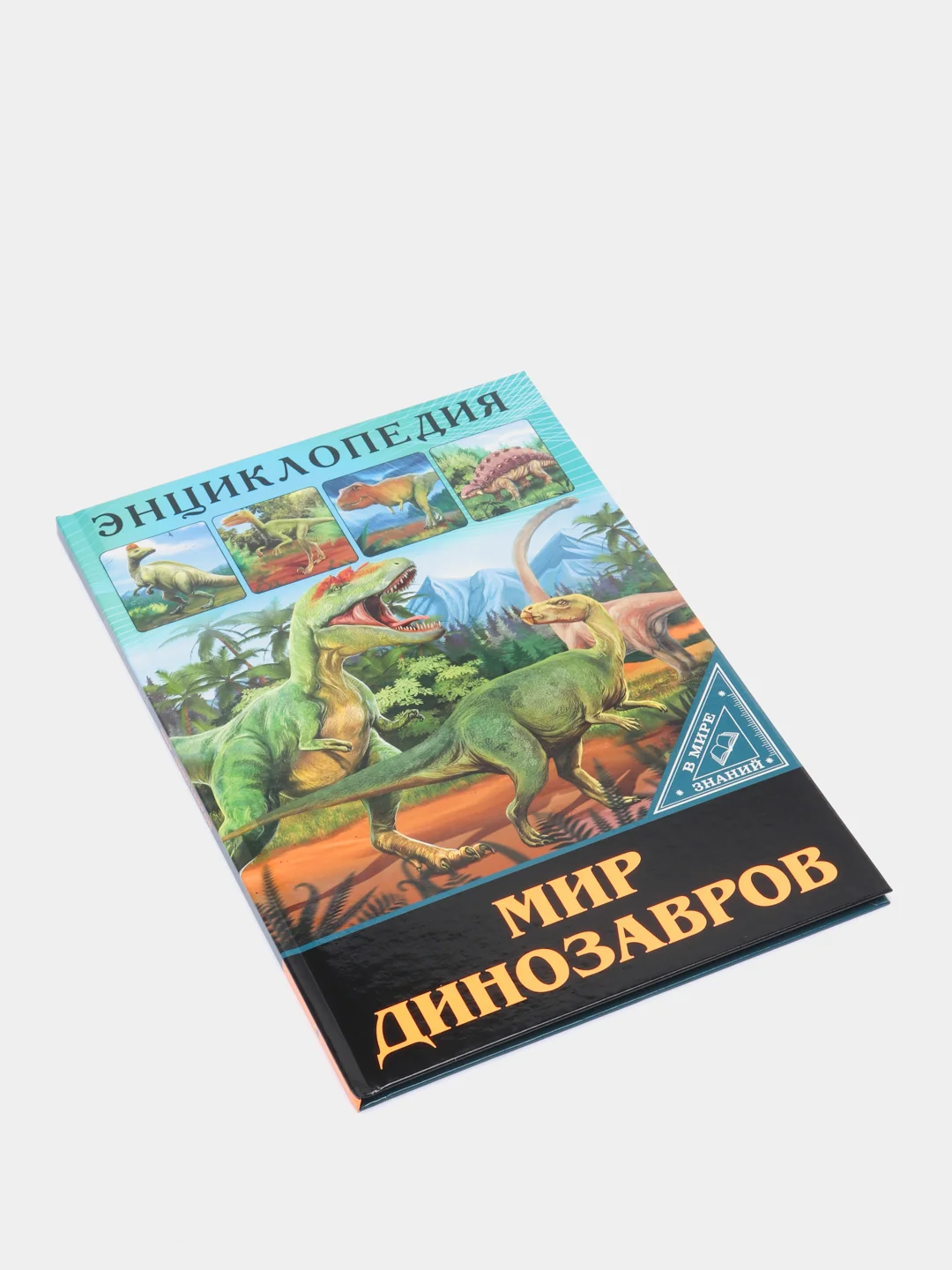 Горчичный энциклопедия для детей "В мире знаний", серия книг, твёрдый переплёт, яркие иллюстрации