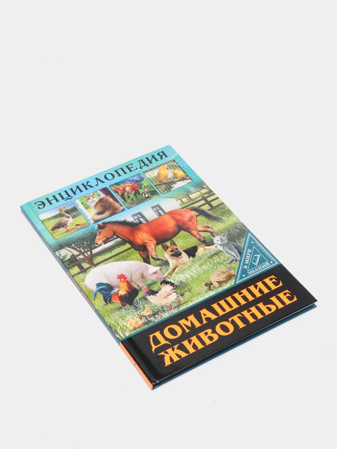 Алый энциклопедия для детей "В мире знаний", серия книг, твёрдый переплёт, яркие иллюстрации