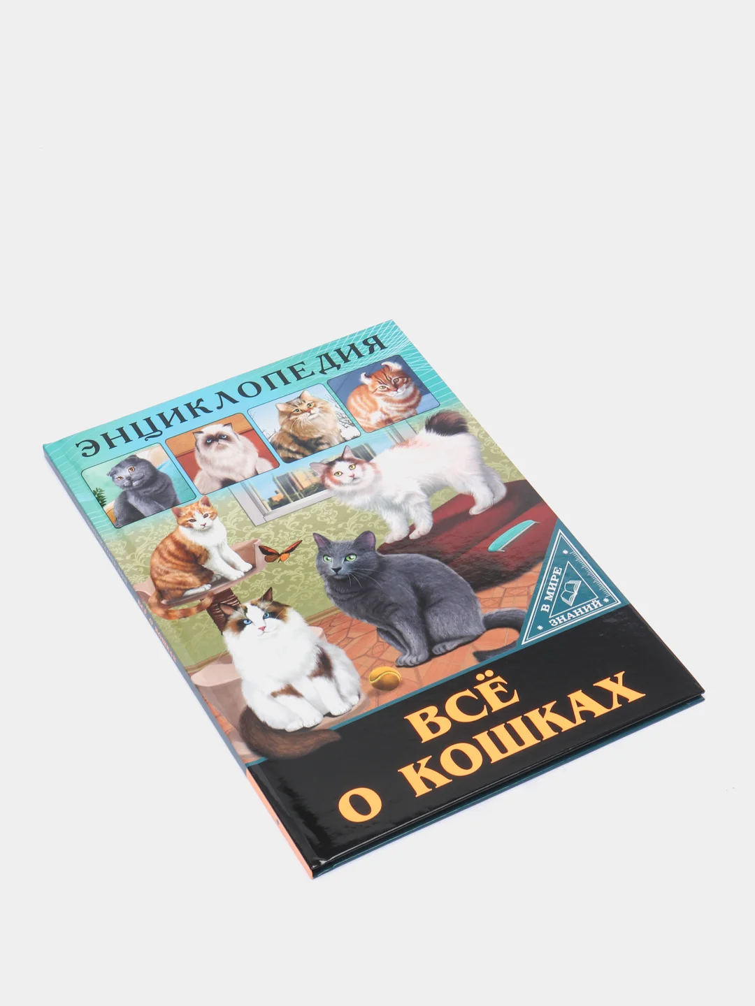 Багровый энциклопедия для детей "В мире знаний", серия книг, твёрдый переплёт, яркие иллюстрации