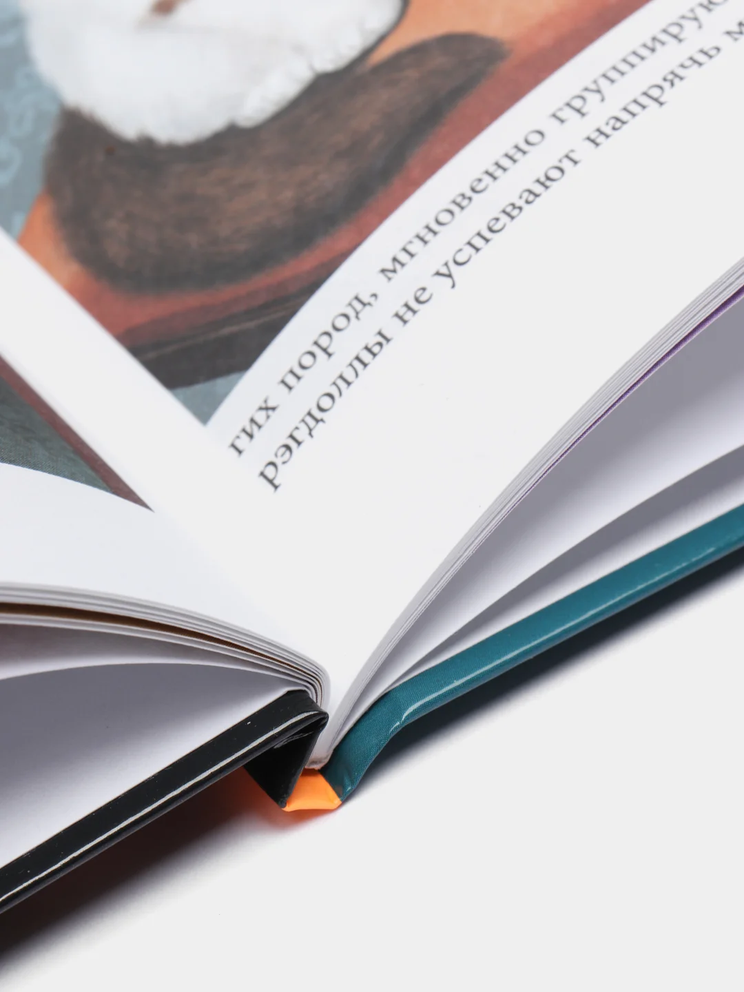 Багровый энциклопедия для детей "В мире знаний", серия книг, твёрдый переплёт, яркие иллюстрации