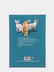 Багровый энциклопедия для детей "В мире знаний", серия книг, твёрдый переплёт, яркие иллюстрации