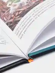 Бордовый энциклопедия для детей "В мире знаний", серия книг, твёрдый переплёт, яркие иллюстрации