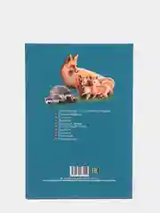 Бордовый энциклопедия для детей "В мире знаний", серия книг, твёрдый переплёт, яркие иллюстрации