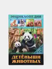 Бордовый энциклопедия для детей "В мире знаний", серия книг, твёрдый переплёт, яркие иллюстрации