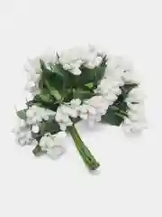 Белый тычинки для рукоделия ,ягоды в пучке