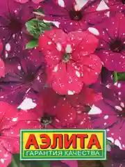 Петуния Дот Стар F1, смесь, семена