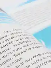 Сказка для детей на татарском и русском языках "Непоседа Пин". ТАТМЕДИА