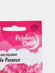 Гвоздика Шабо Розалия (семена,цветы)