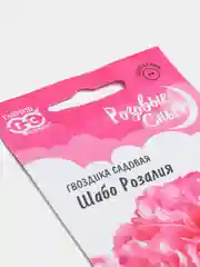Гвоздика Шабо Розалия (семена,цветы)