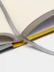 Золотистый хаки myart/блокнот для зарисовок/ Скетчбук для мальчиков