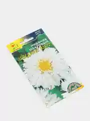 Нивяник Лебединое озеро (семена, цветы)