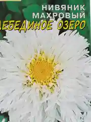 Нивяник Лебединое озеро (семена, цветы)
