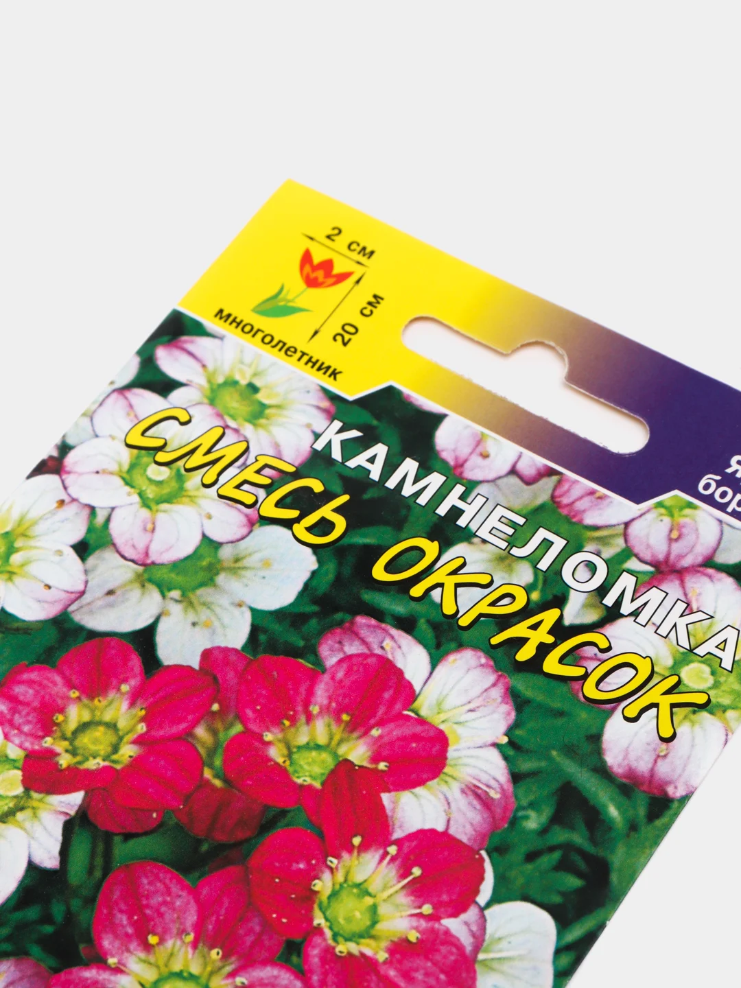 Камнеломка смесь, семена
