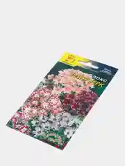 Семена Флокс "Фейерверк", цветы