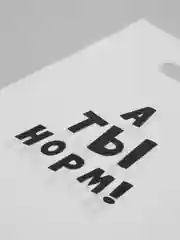 Пакет с надписью "А ты норм", размер 20*30 см (5 шт)