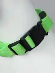Лайм ошейник LED для собак и кошек светящийся, на батарейках
