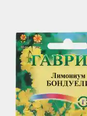 Семена лимониума "Бондуели"