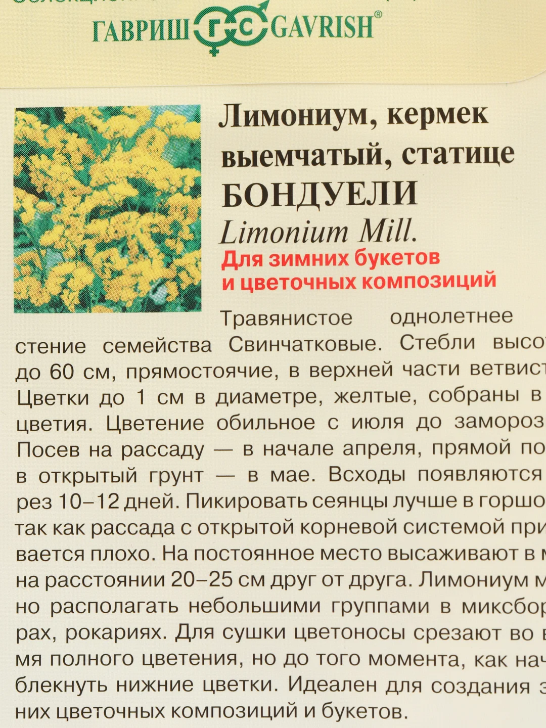 Семена лимониума "Бондуели"